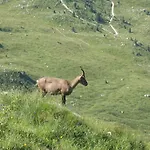 Rifugio Casa Alpina Julius Kugy