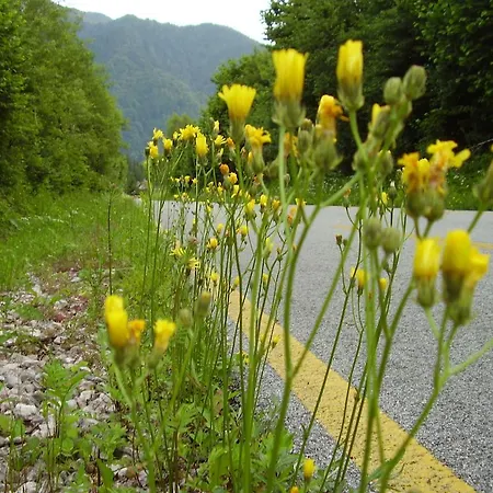 Vandrerhjem Rifugio Casa Alpina Julius Kugy *