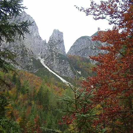 Rifugio Casa Alpina Julius Kugy Malborghetto Valbruna