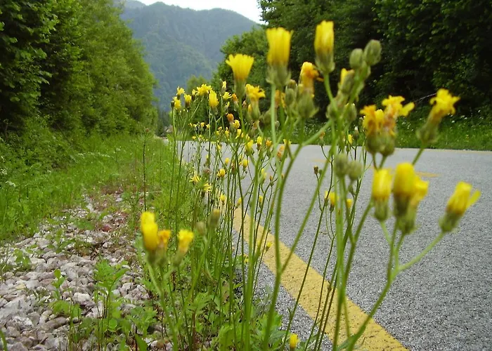 Ostello Rifugio Casa Alpina Julius Kugy *